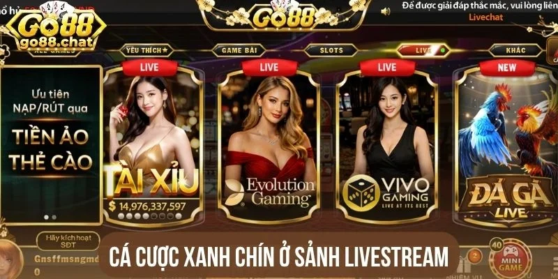 Cá cược xanh chín ở sảnh livestream