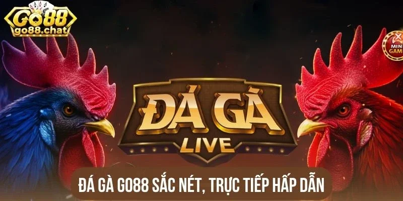 Đá gà Go88 sắc nét, trực tiếp hấp dẫn