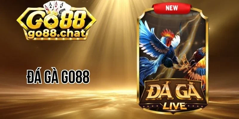 Xem live đá gà, tìm hiểu luật chơi để cược thắng lớn