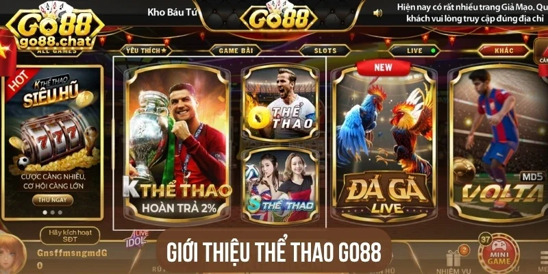 Giới thiệu thể thao Go88