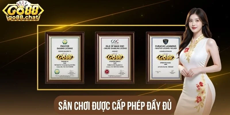 Sân chơi được cấp phép đầy đủ