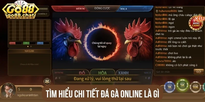Tìm hiểu chi tiết đá gà online là gì