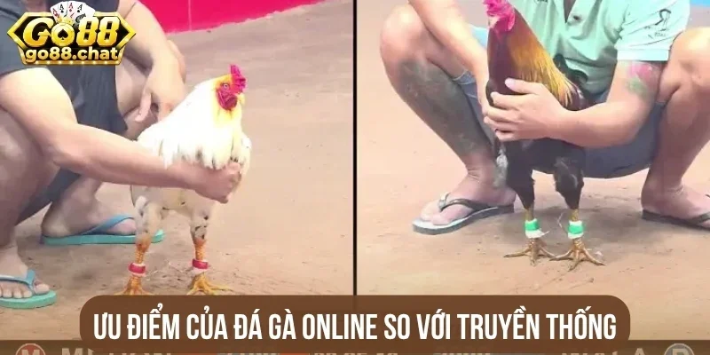 Ưu điểm của đá gà online so với truyền thống