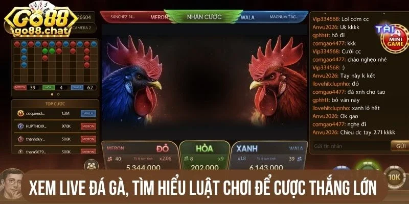 Xem live đá gà, tìm hiểu luật chơi để cược thắng lớn